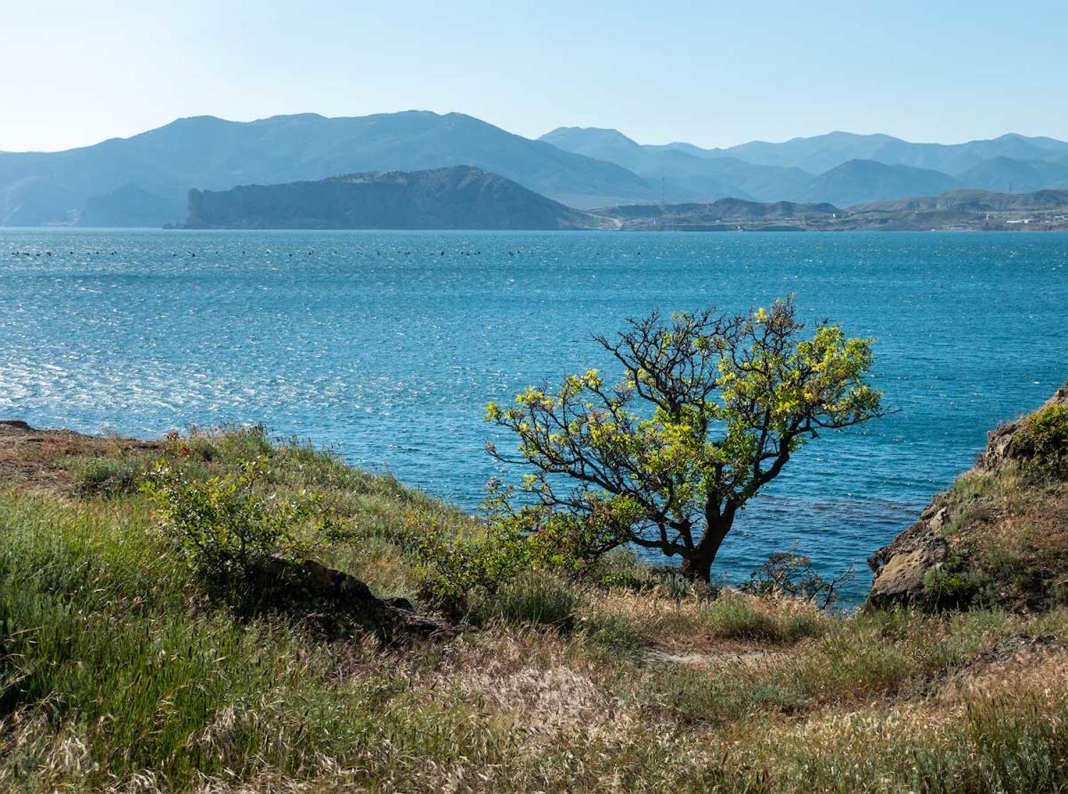 , Андрей Гусаченко