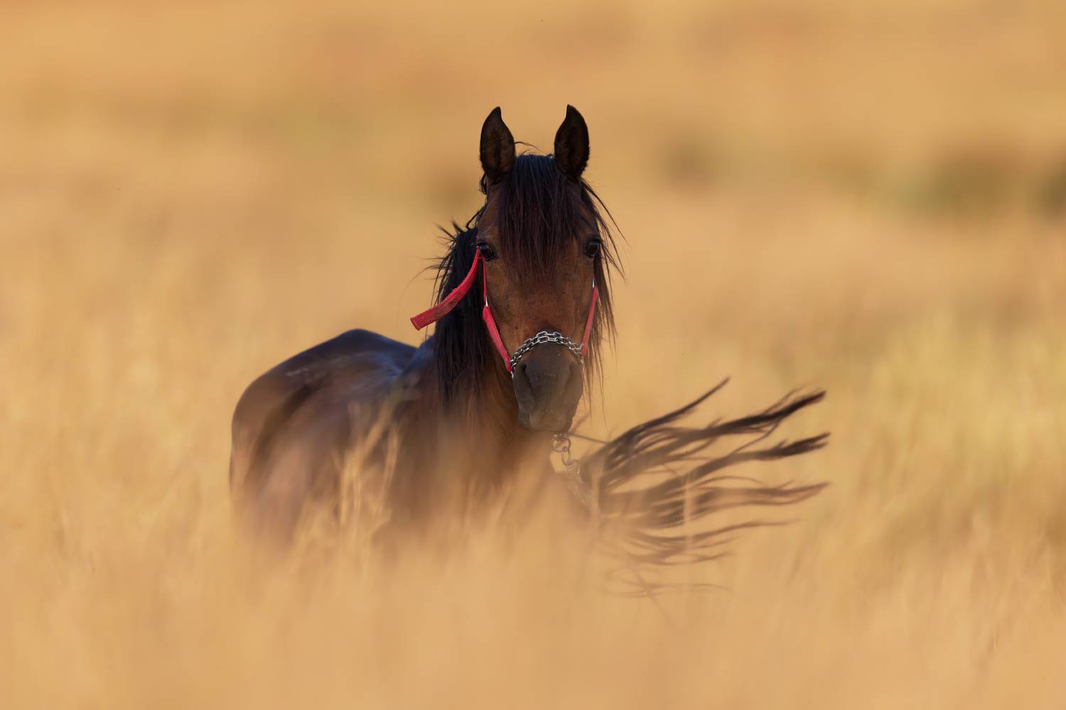 , Фруман Евгений