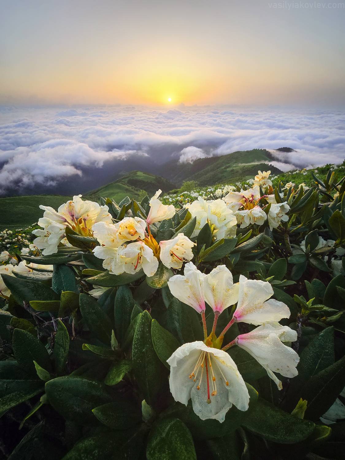 тхач, большой тхач, фототур, яковлевфототур, кавказ, адыгея, Василий Яковлев