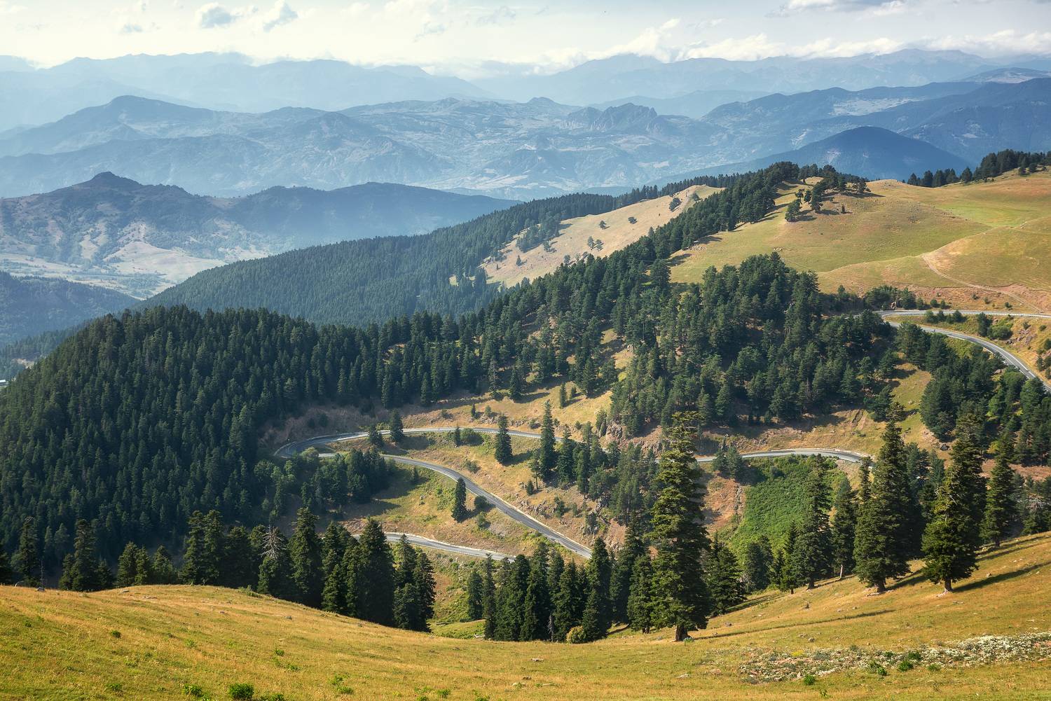 , Рагинская Ольга