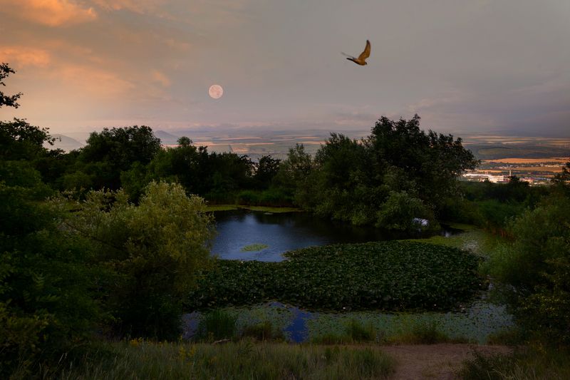 пейзаж,озеро, полнолуние, рассвет, кмв, июнь Июньское полнолуние⁠⁠ фото превью