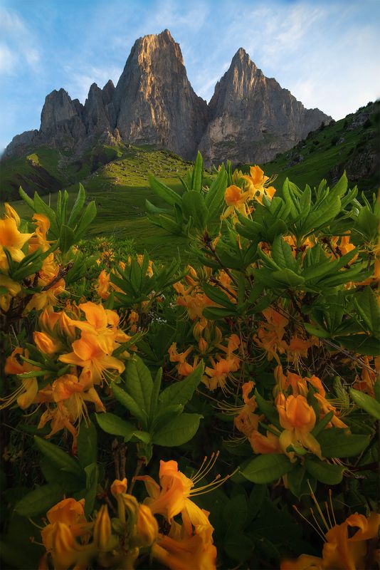 Цей-Лоам, респ. Ингушетия фото превью