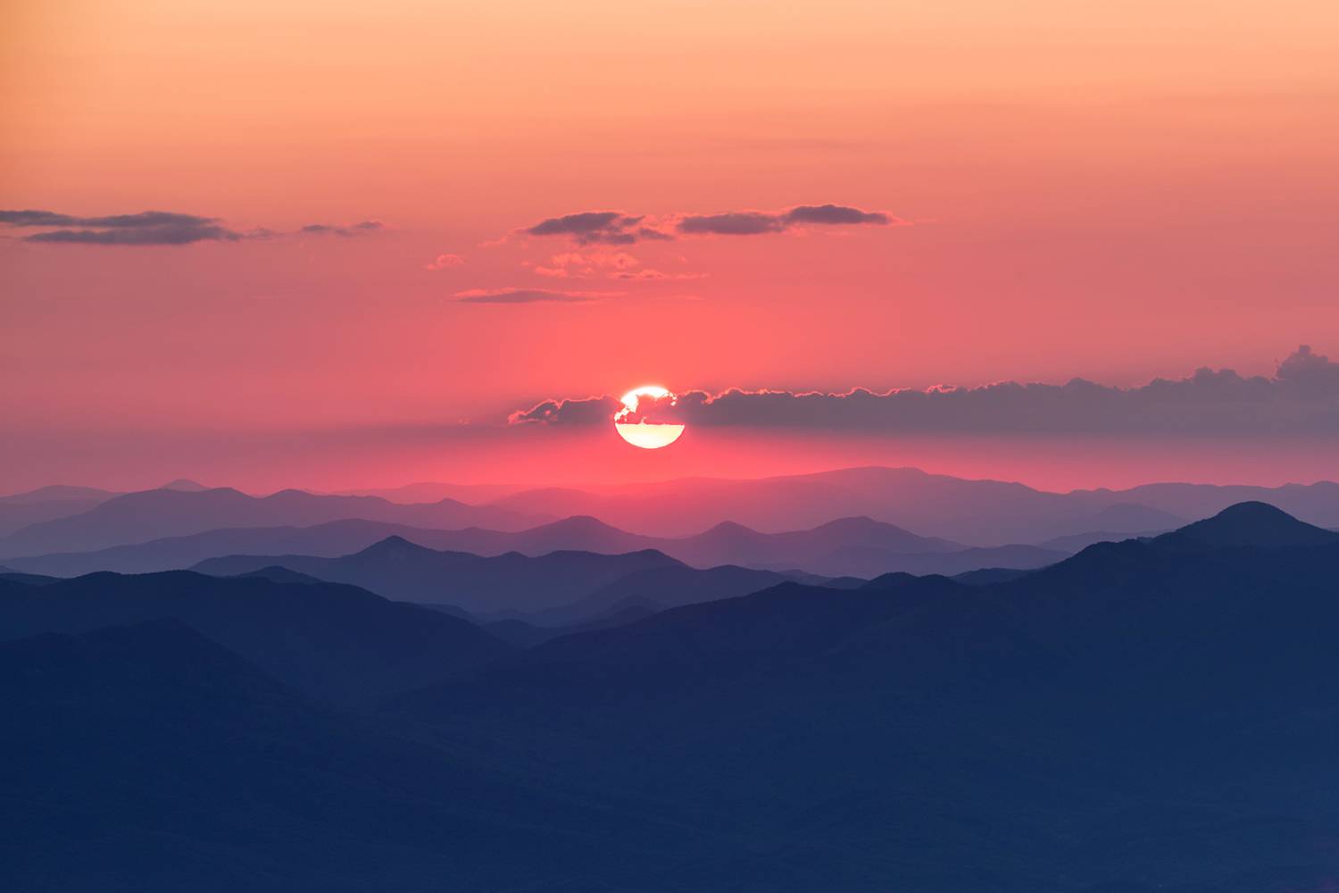 , Илья Михеев