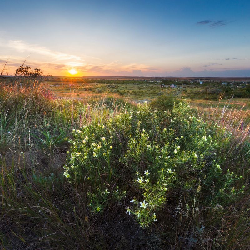 *** фото превью