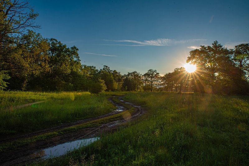 Утро. фото превью