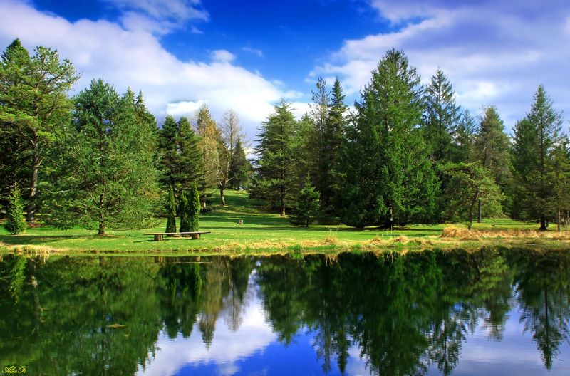 Лето, ах лето... фото превью