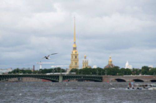 Санкт-Петербург, 06.2024г.