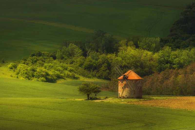 Windmill фото превью