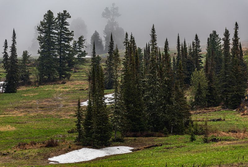 Туманное утро на склоне фото превью