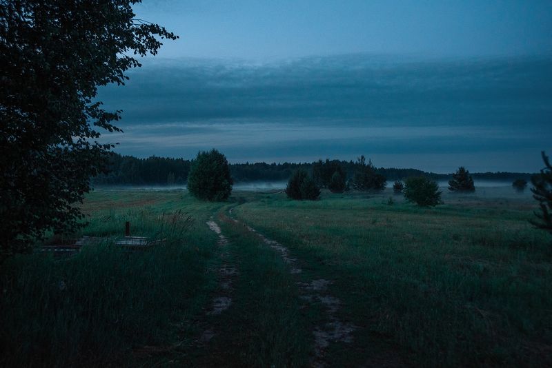 туман, деревня, пейзаж, fog, foggy, landscape, country, countryside, village, evening, summer, вечер, лето Летний туманный вечер в деревне фото превью