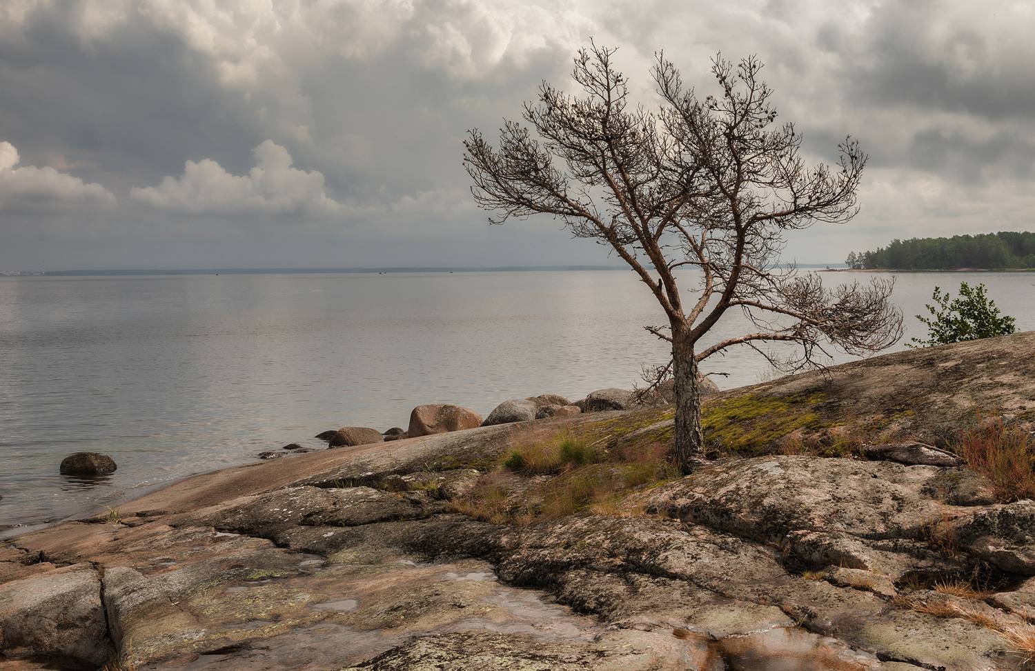 балтика,выборгский залив,остров маячный, Александр Смыков
