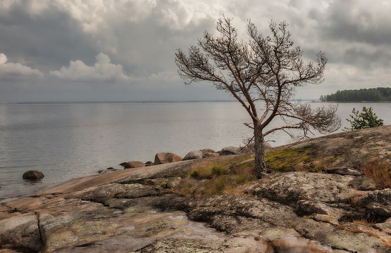 балтика,выборгский залив,остров маячный и на камнях... фото превью