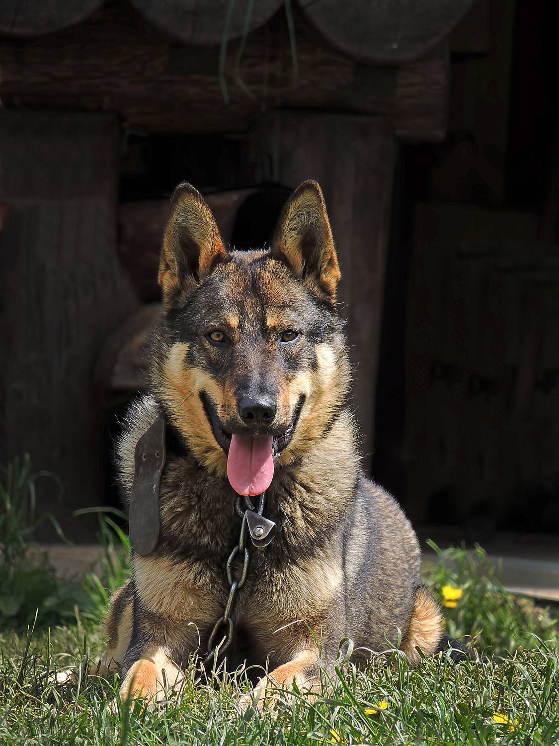 , Савоцкий Роман