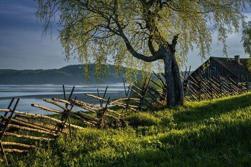 Вечер после дождя