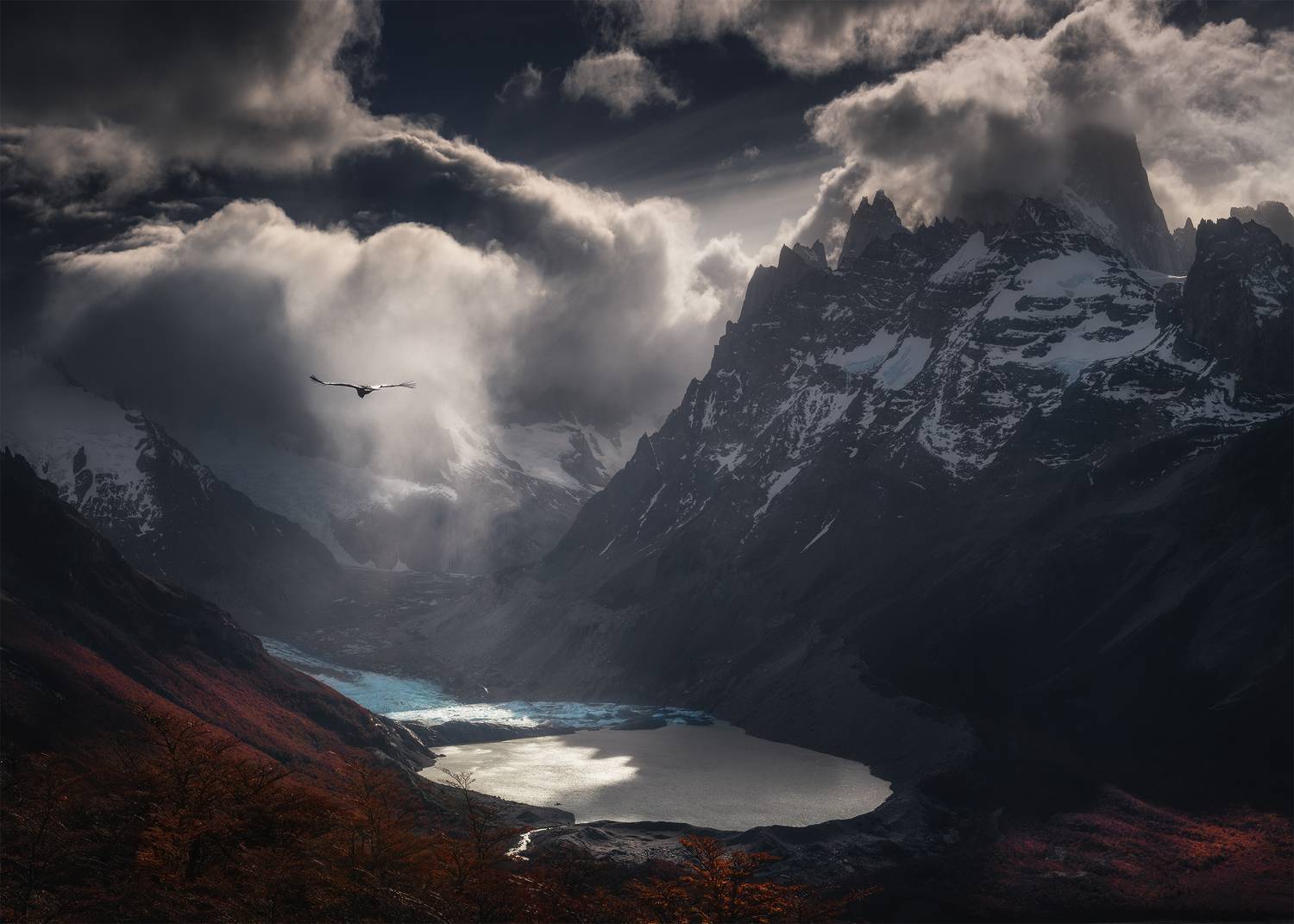 , Политова Анна