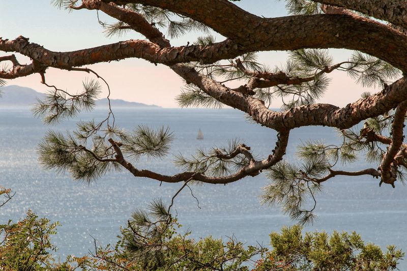 Palos Verde (CA) фото превью