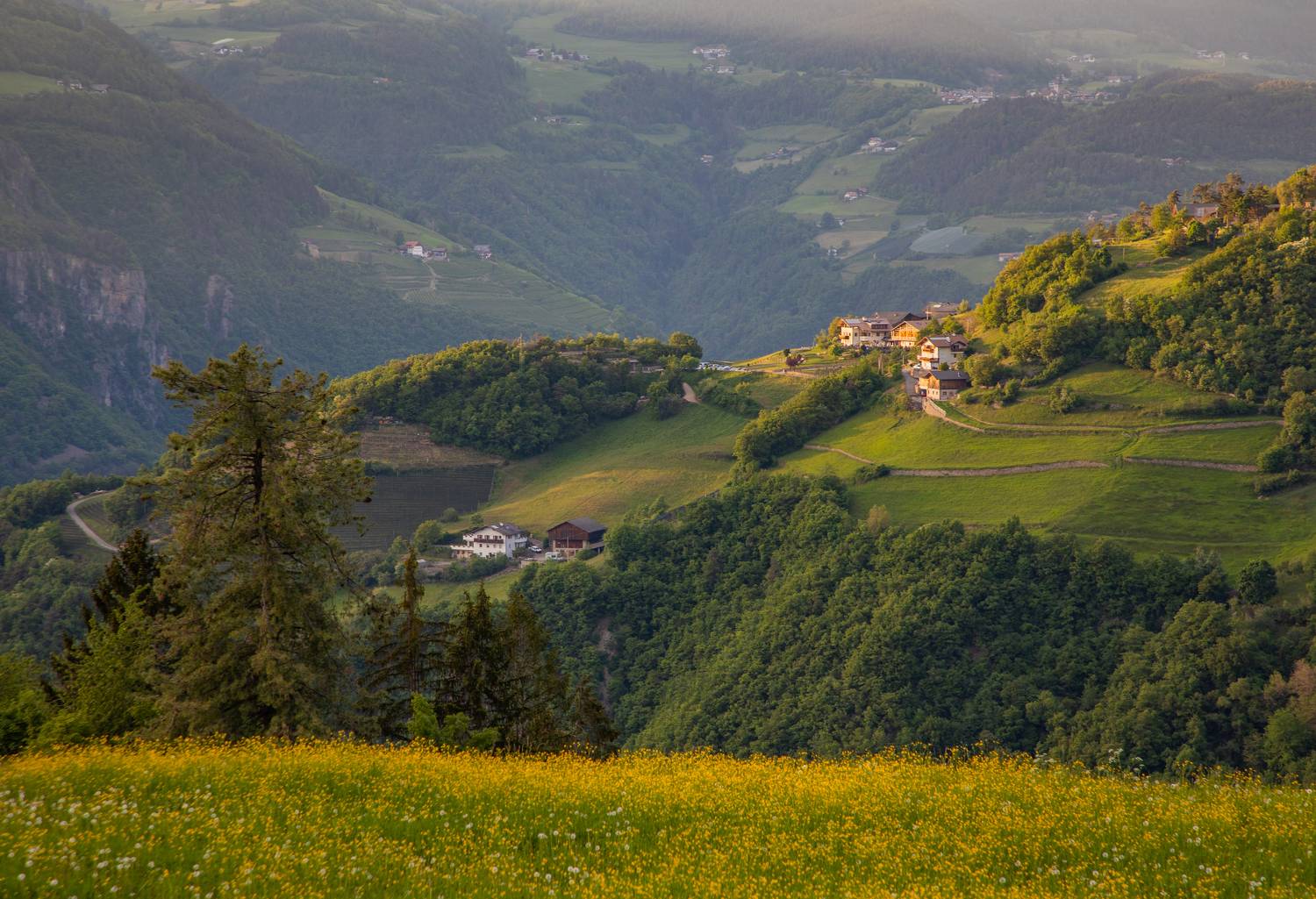 , Алекс Римский