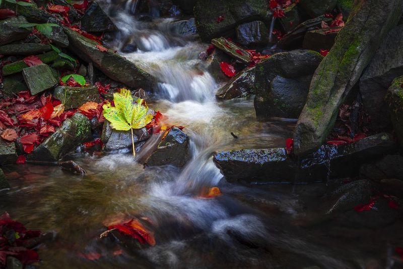 Bieszczady National Park - Poland фото превью