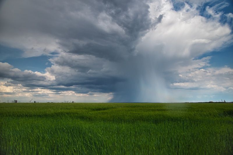 Перед дождем фото превью