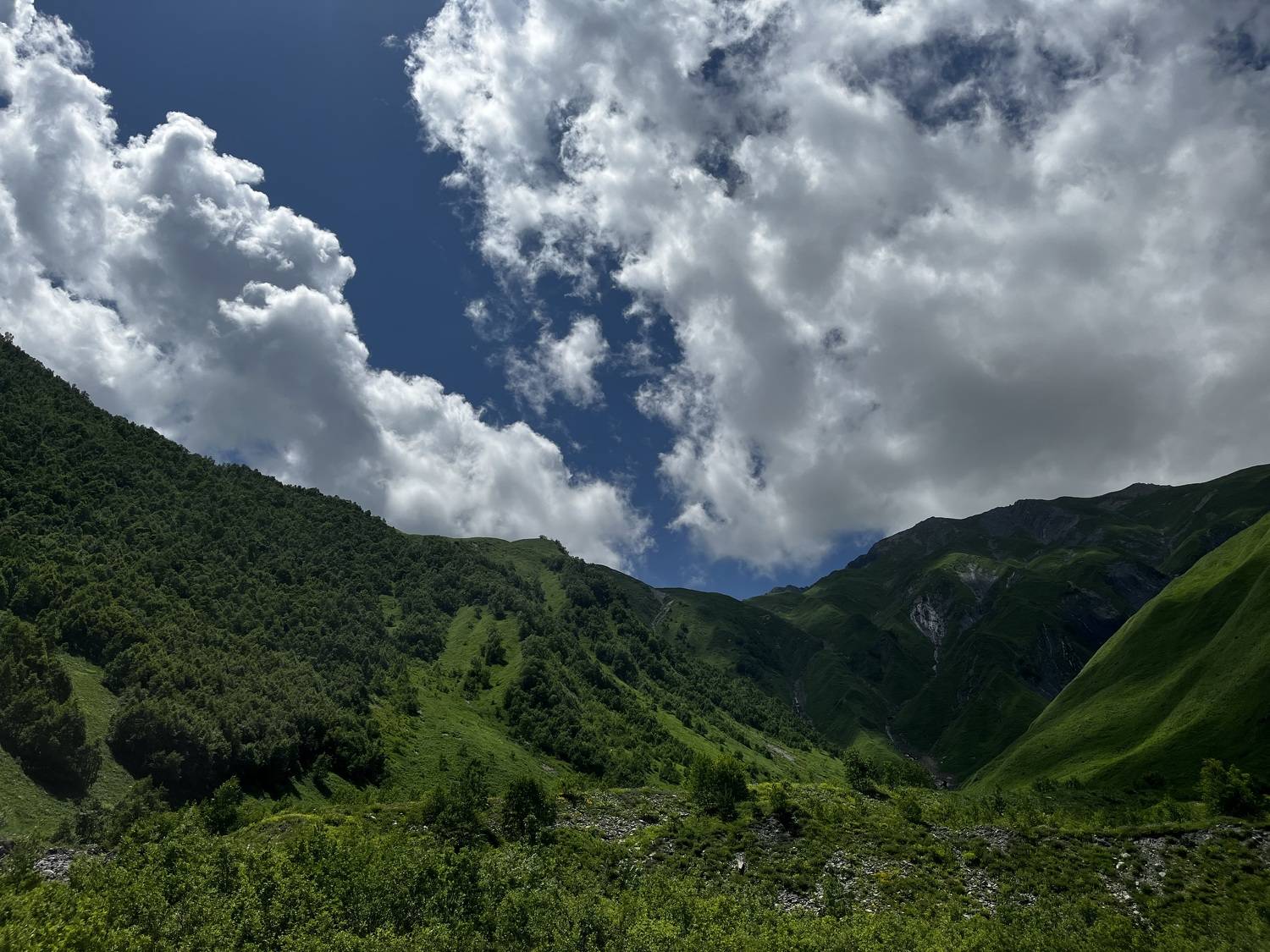 , Табуев Батраз