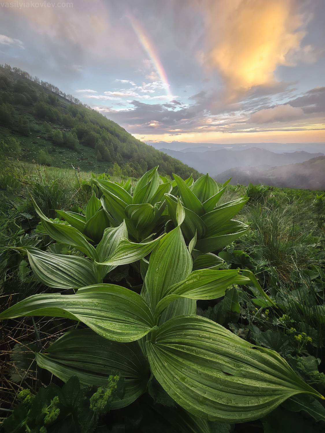 тхач, большой тхач, фототур, яковлевфототур, кавказ, адыгея, Василий Яковлев