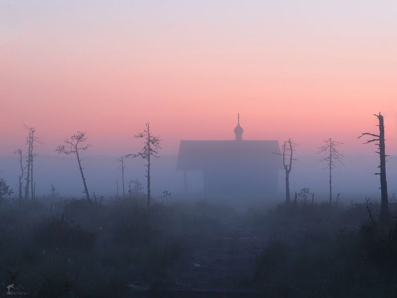 В сердце болот фото превью