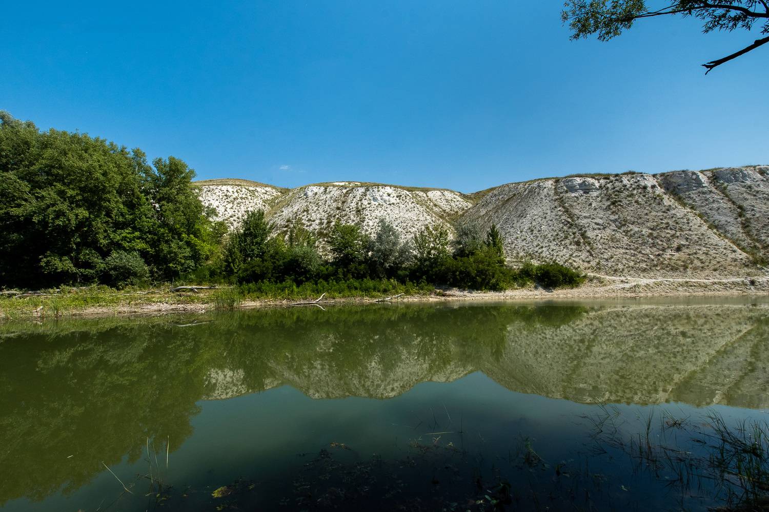 chalk, chal mountain, volgograd, russia, wildlife, , Павел Сторчилов