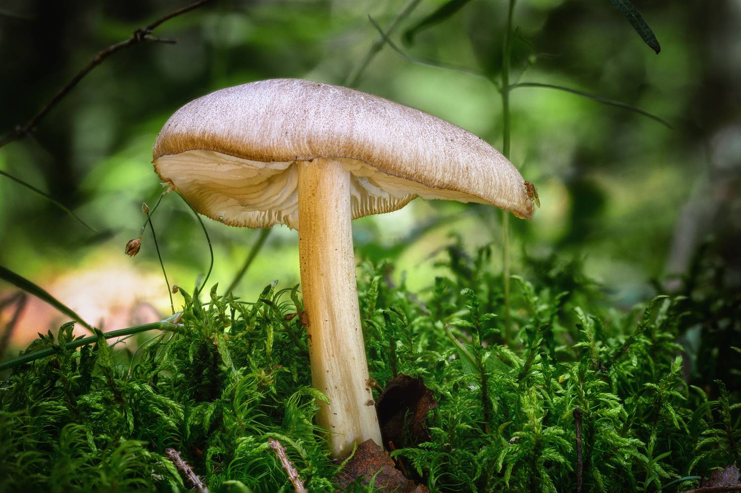 , Нуждин Андрей