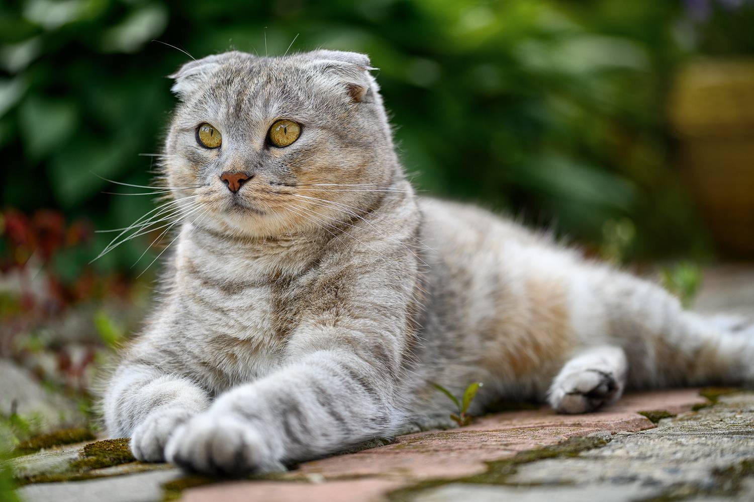 , Нуждин Андрей