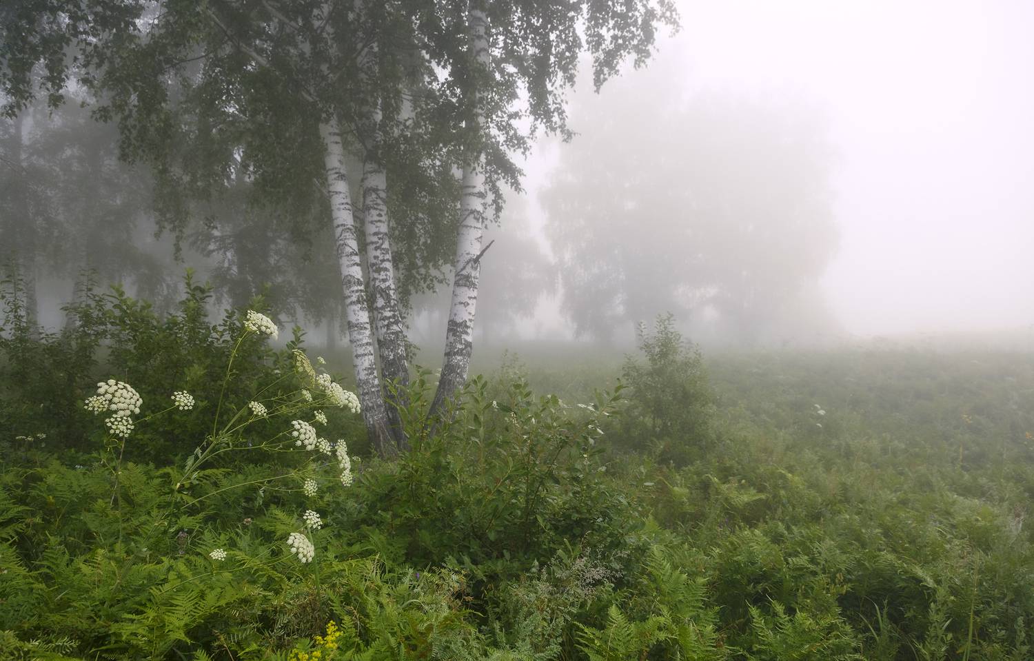 , Алексей Хахлов