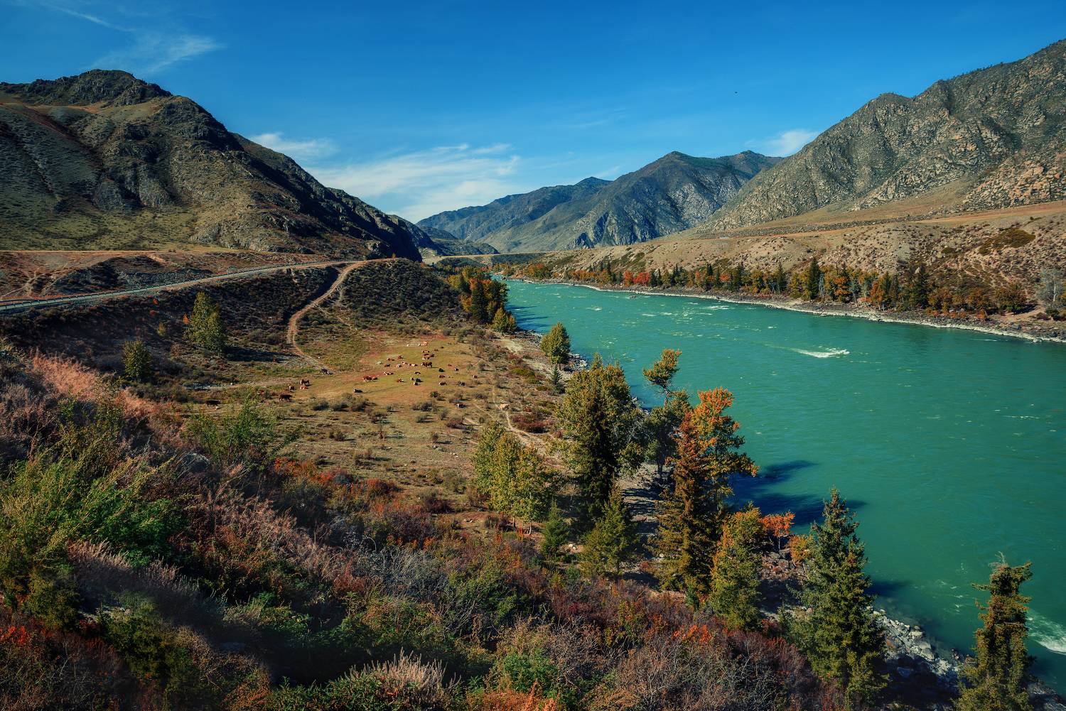 , Рагинская Ольга