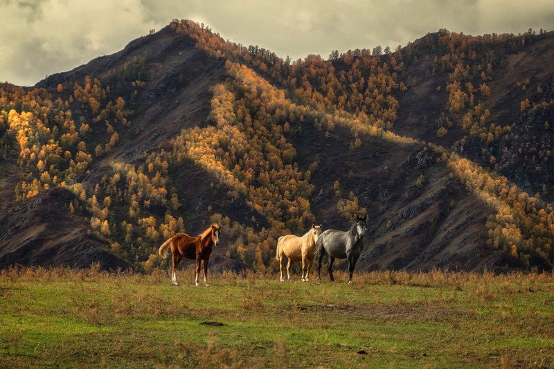На закате дня фото превью