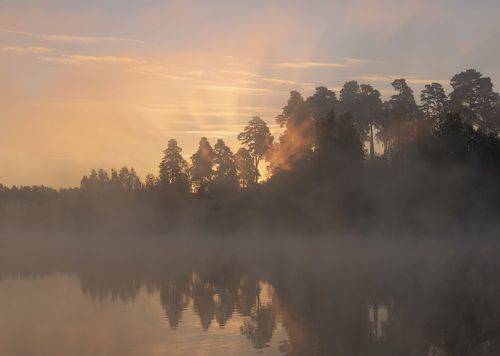 Туманное утро
