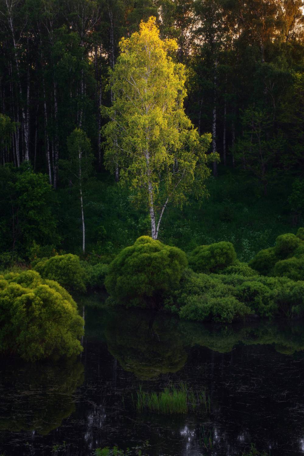 , Павел Абакумов