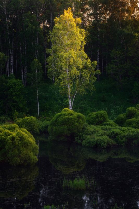 Бархатный вечер фото превью