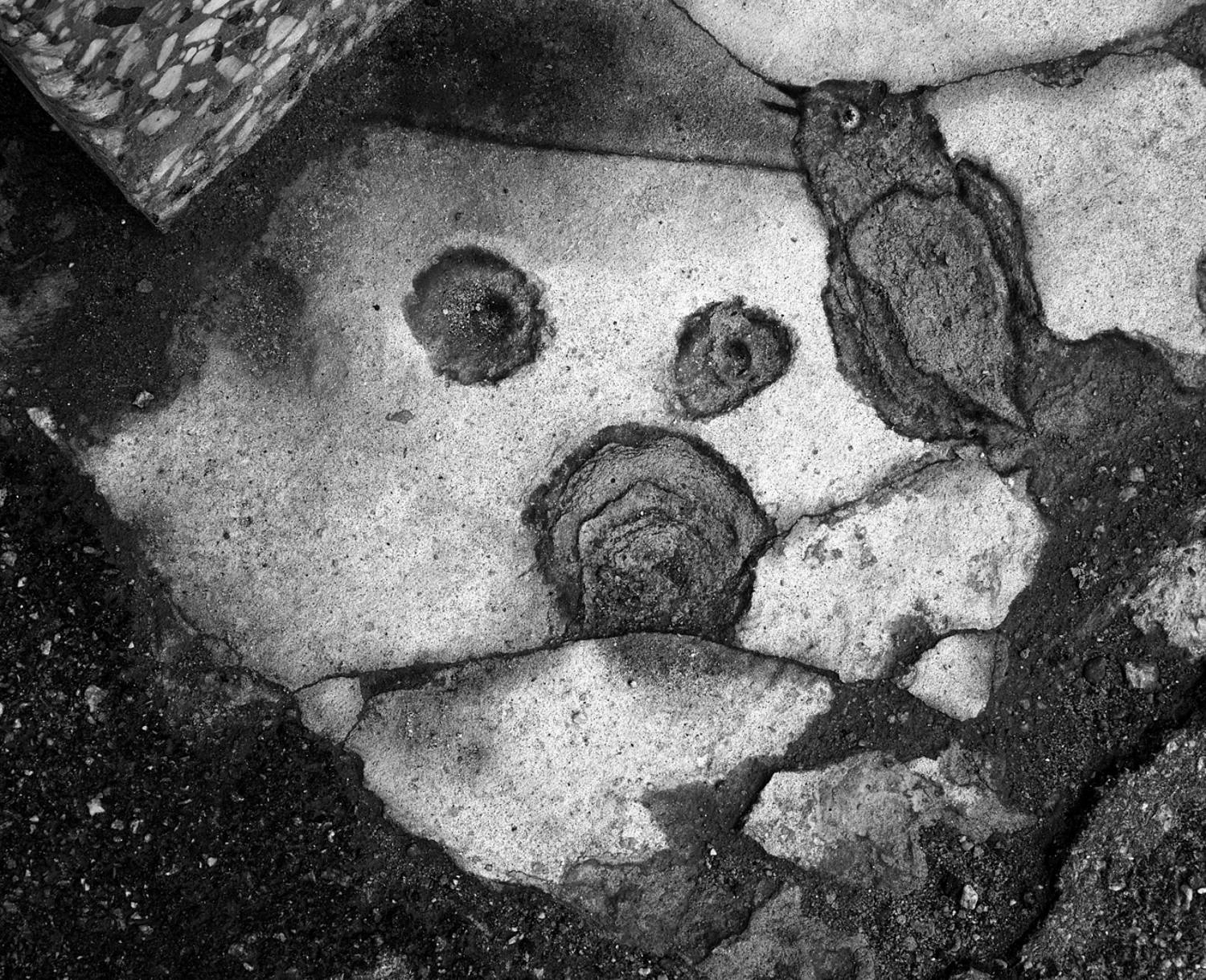 pareidolia, Илья Веулоп