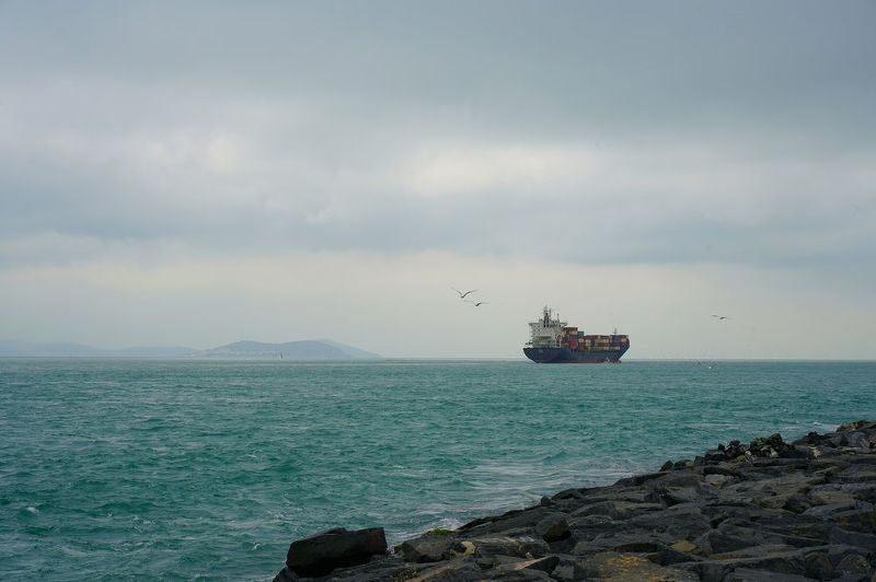 strait, sea, shipping, ship, horizon, shore, sky, seagull, bird, movement Bosphorus фото превью