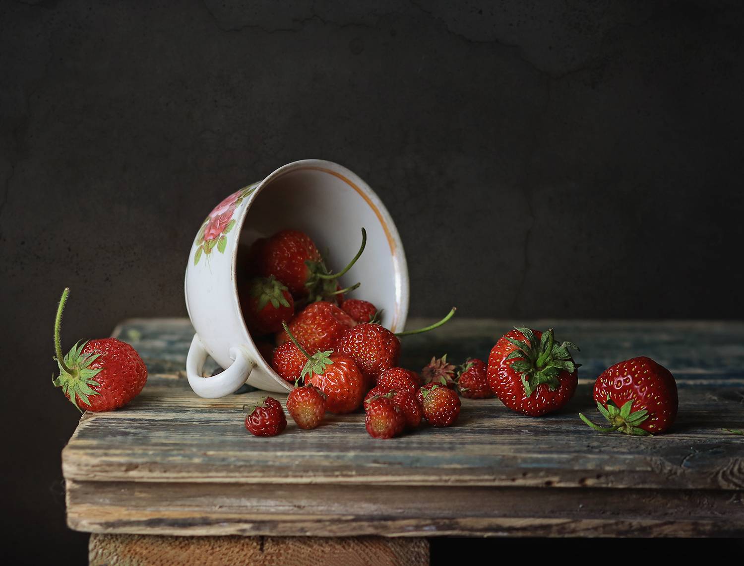 , Светлана Дерябина