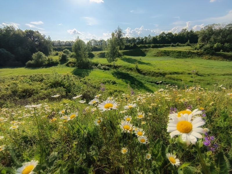 фото превью