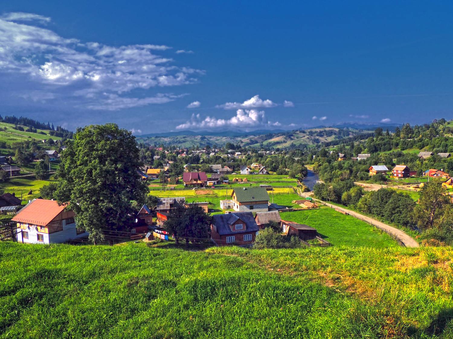 , Савоцкий Роман