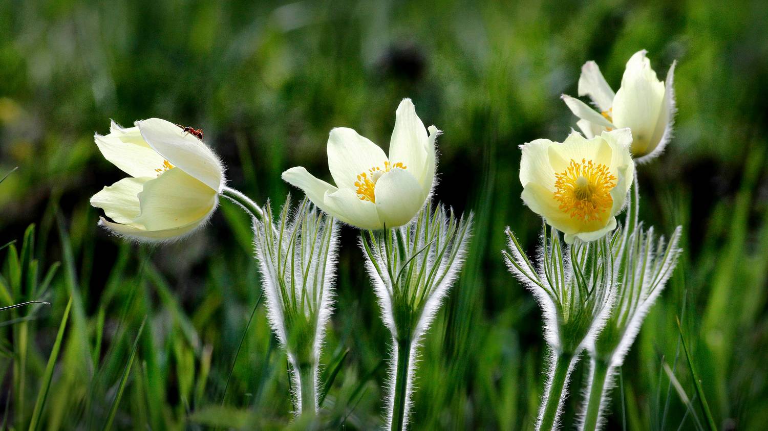 , Ушаков Валерий