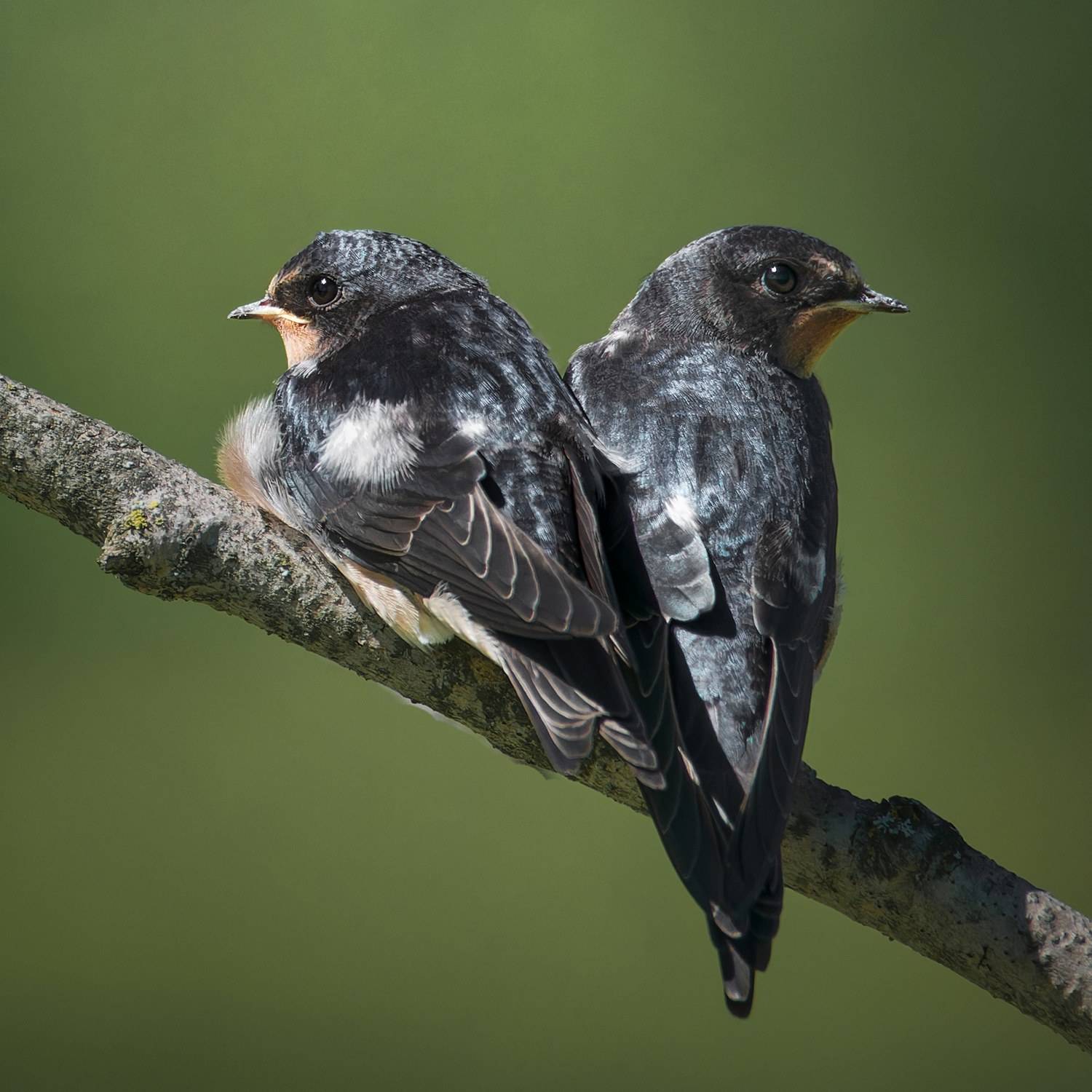 , Фото Александр