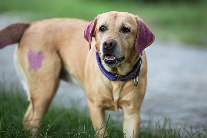 Мира фото превью