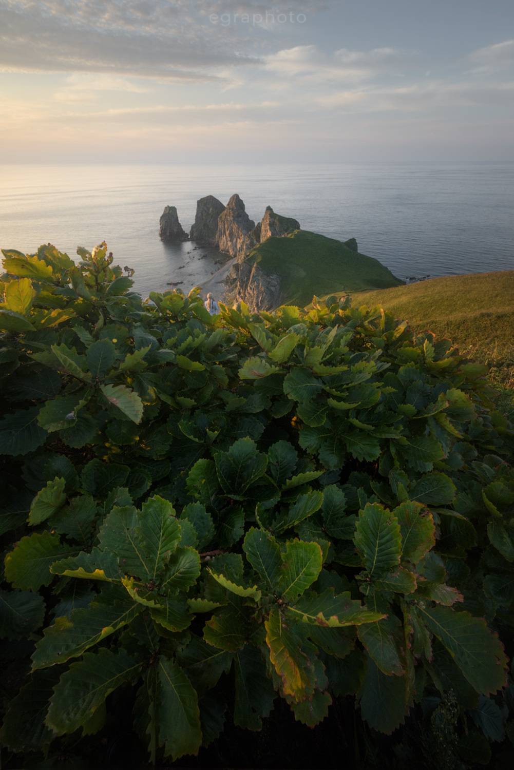 russia, primorye, primorsky krai, far east, россия, приморский край, приморье, дальний восток, японское море, japan sea, мыс четырех скал, Рябенький Александр