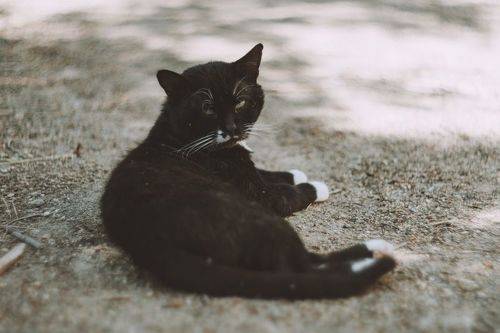 Во власти июньского полдня.