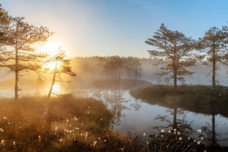 восход фото превью
