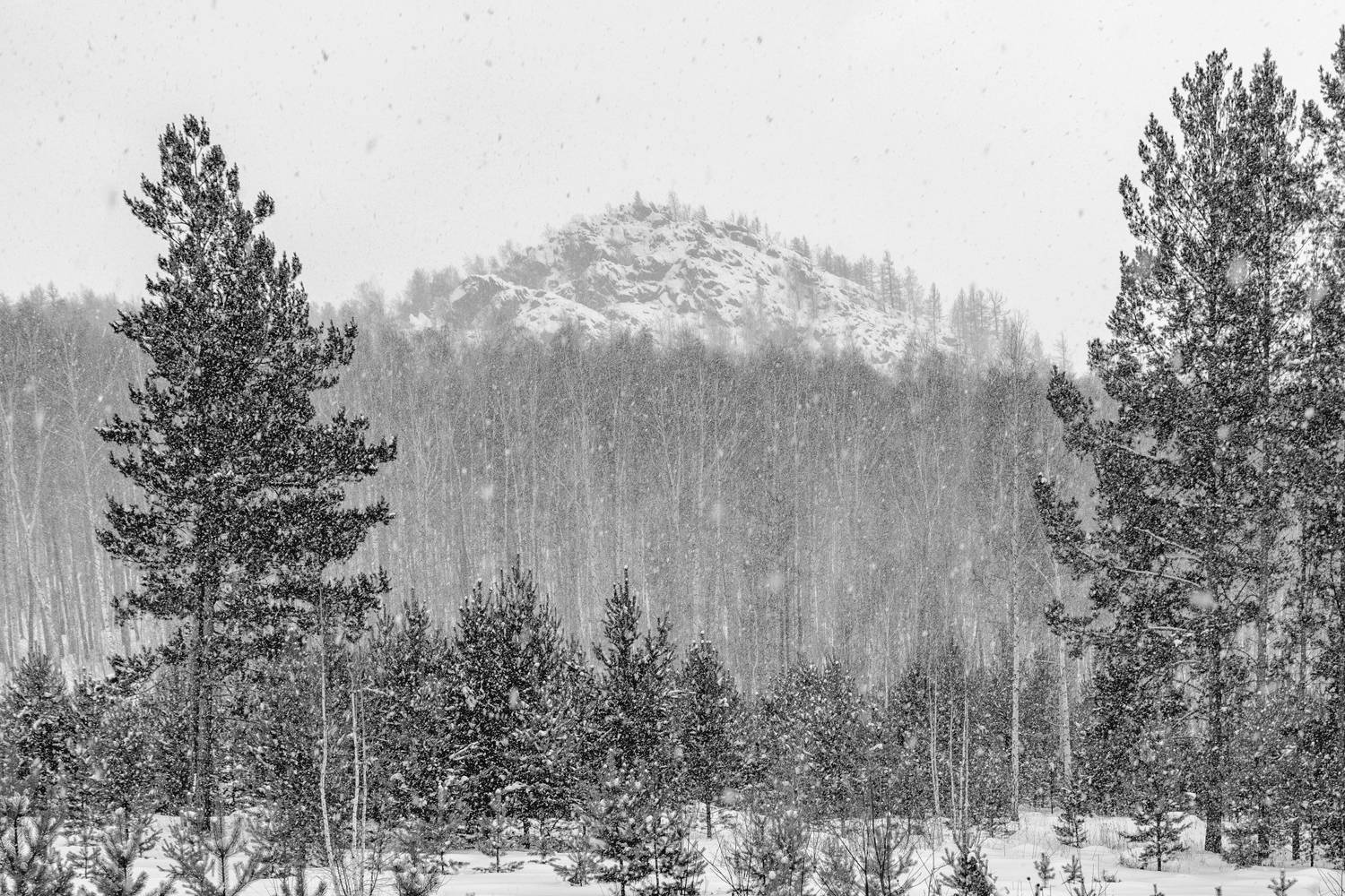 , Дмитрий Шустиков