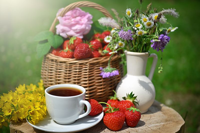 Июньский завтрак фото превью