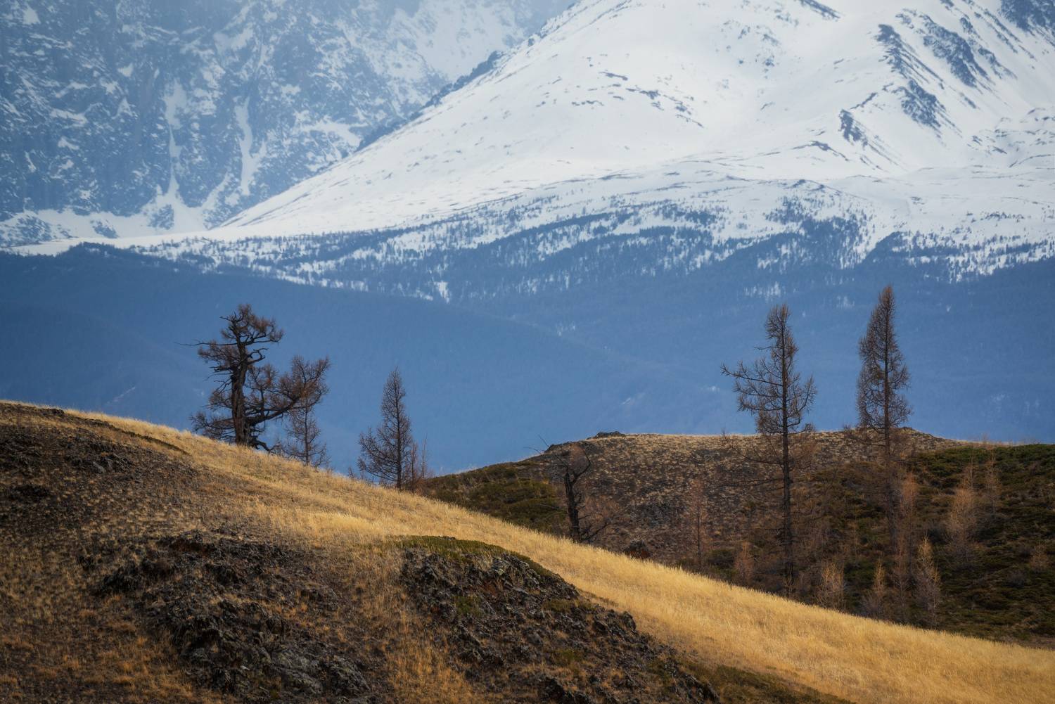 , Рагинская Ольга