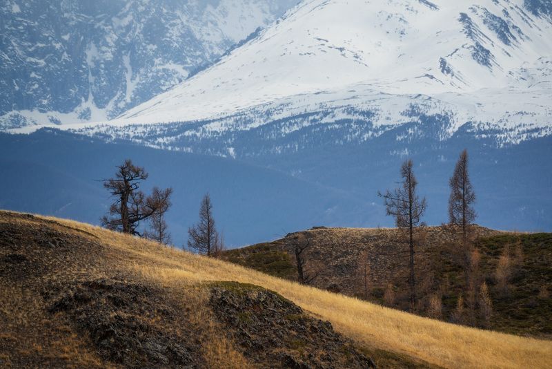 Начало мая на Алтае фото превью